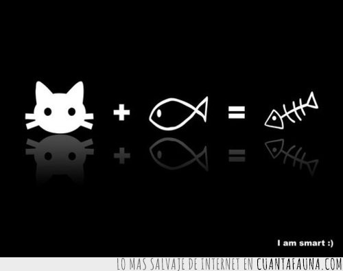 calcula,Matemáticas,suma,igual,pescado,raspa,Gato